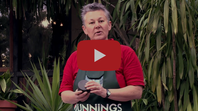 How To Prepare Your Home For A Bushfire - DIY At Bunnings