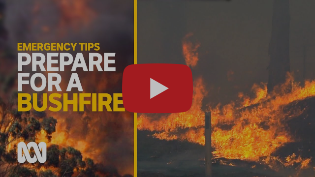 How to plan and prepare for bushfires | Emergency Tips | ABC Australia