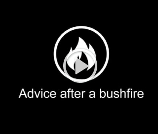 3. Advice after a bushfire